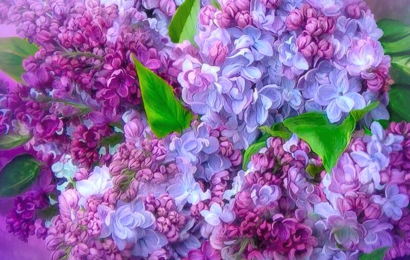 Purple Lilac Flowers — Calm, Spring, Painting, Green Leaves