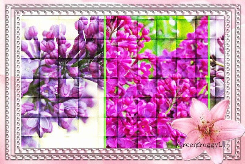 Purple Lilac Flowers — Calm, Spring, Photograph, Lily