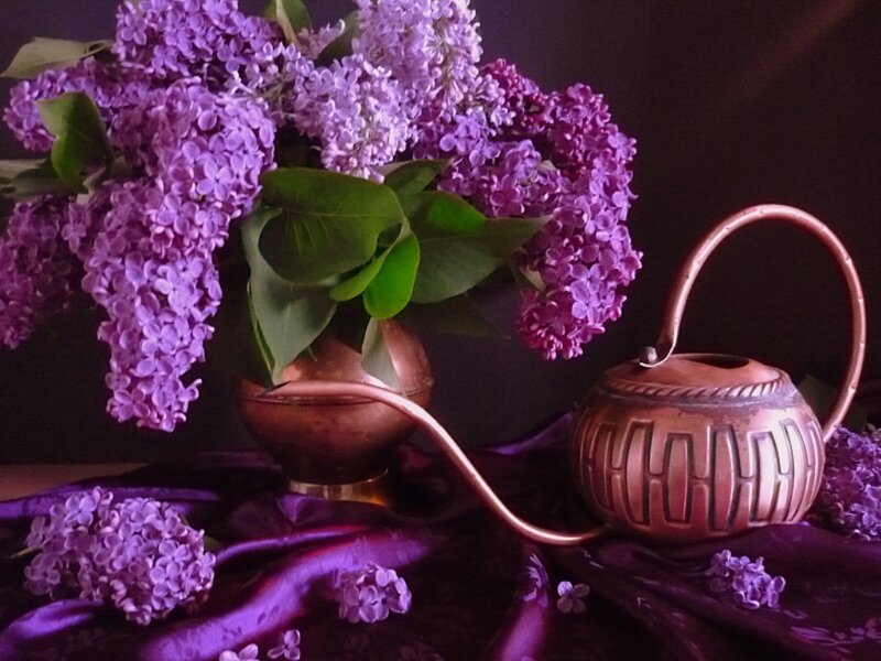 Purple Lilac Flowers — Dramatic, Photograph, Copper Pitcher