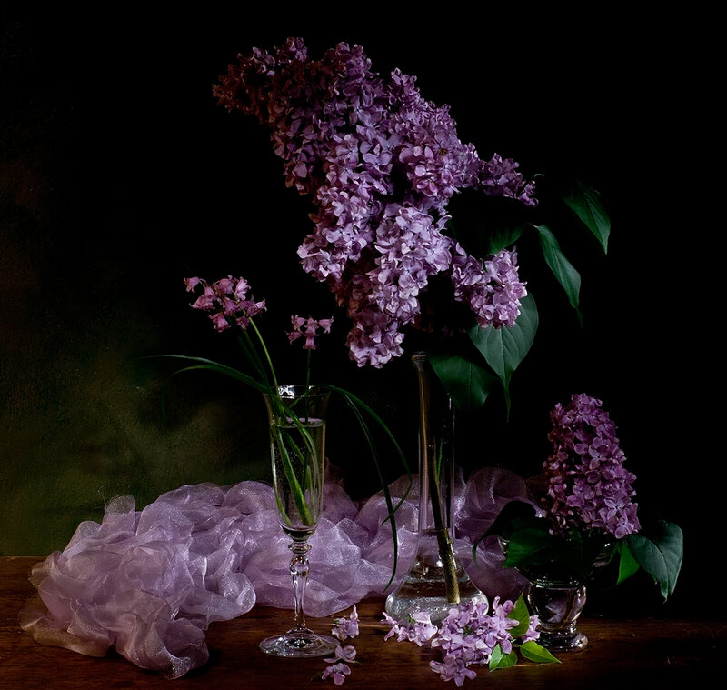 Purple Lilac Flowers — Dramatic, Photograph, Glass Vases