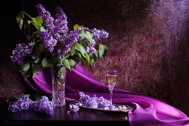 Purple Lilac Flowers — Dramatic, Photograph, Vase