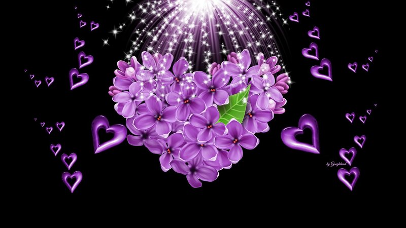 Purple Lilac Flowers — Romantic