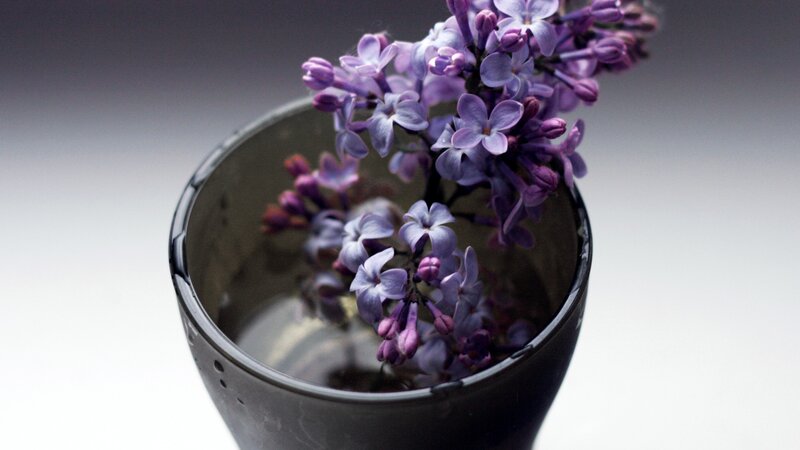 Purple Lilac Flowers — Serene, Photograph, Vase, Flower