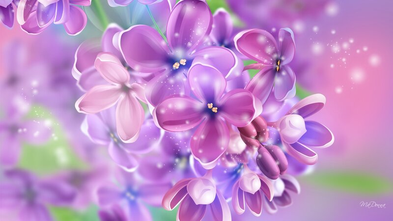 Purple Lilac Flowers — Serene, Spring, Digital Art
