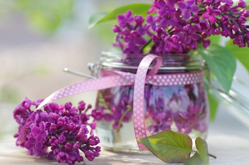 Purple Lilac Flowers — Serene, Spring, Photograph, Glass Jar