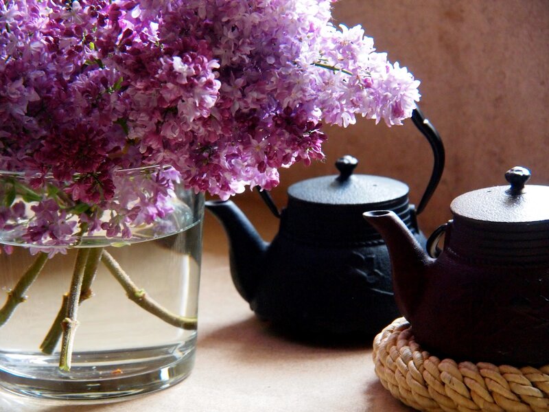 Purple Lilac Flowers — Serene, Spring, Photograph, Teapots