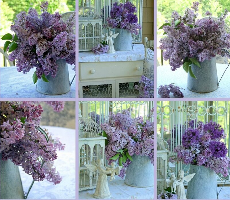 Purple Lilac Flowers — Serene, Spring, Photograph, Vase, Birdcage