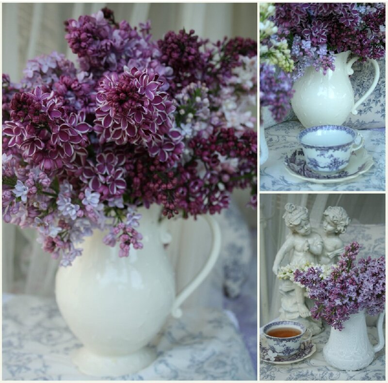 Purple Lilac Flowers — Serene, Spring, Photograph, Vase, Teacup