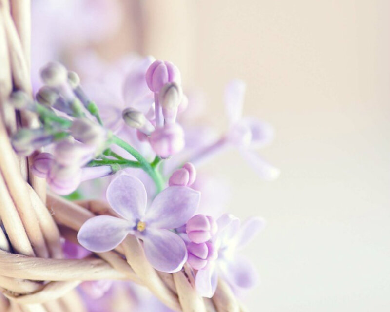 Purple Lilac Flowers — Serene, Spring, Photograph, Woven Basket