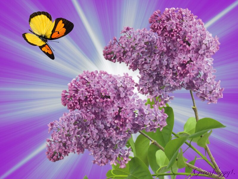 Purple Lilac Flowers — Vibrant, Spring, Digital Art
