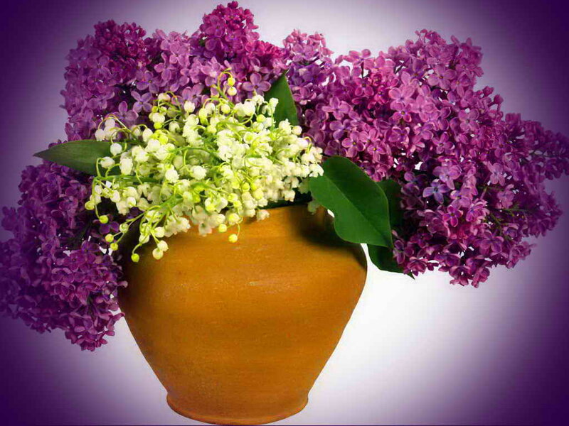 Purple Lilacs and Lily of the Valley — Calm