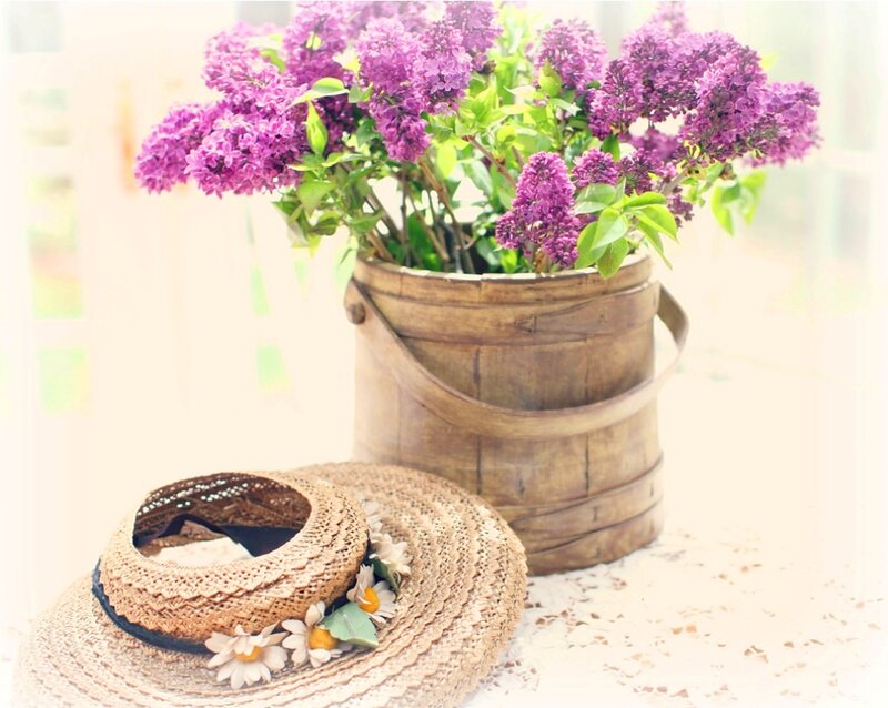 Purple Lilacs in Bucket