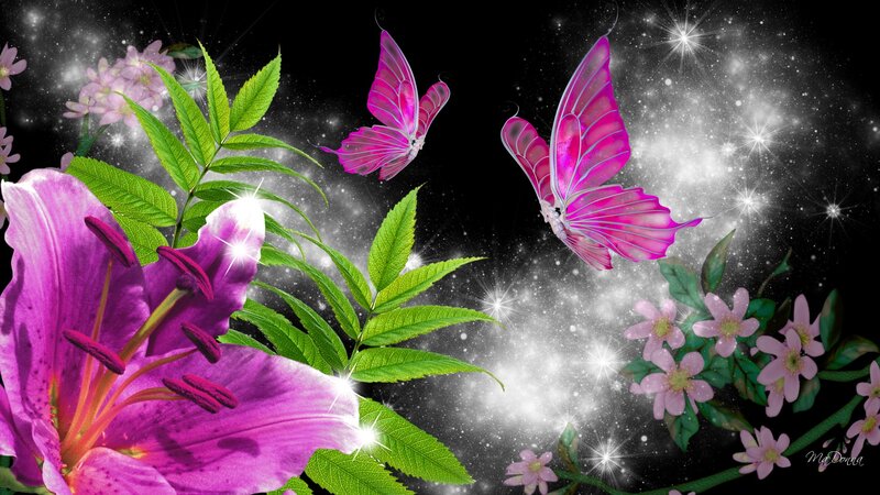 Purple Lilies and Butterflies