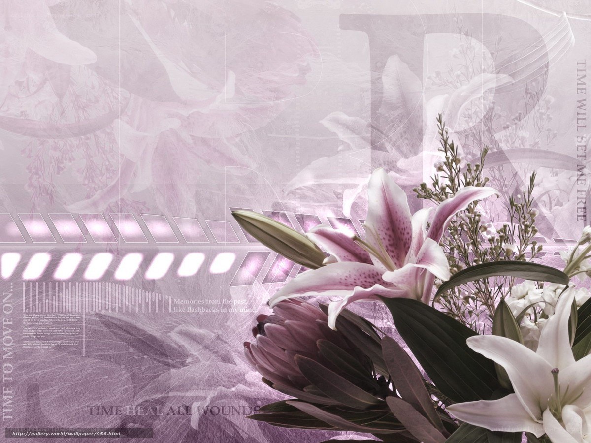 purple lilies and floral design