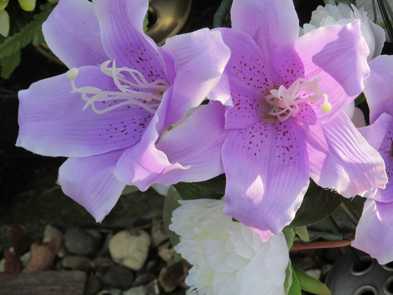 Purple Lilies and White Flower
