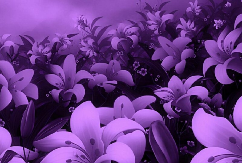 Purple Lilies in Field — Serene