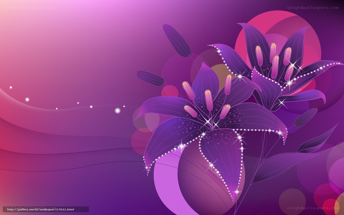 purple lily abstract background