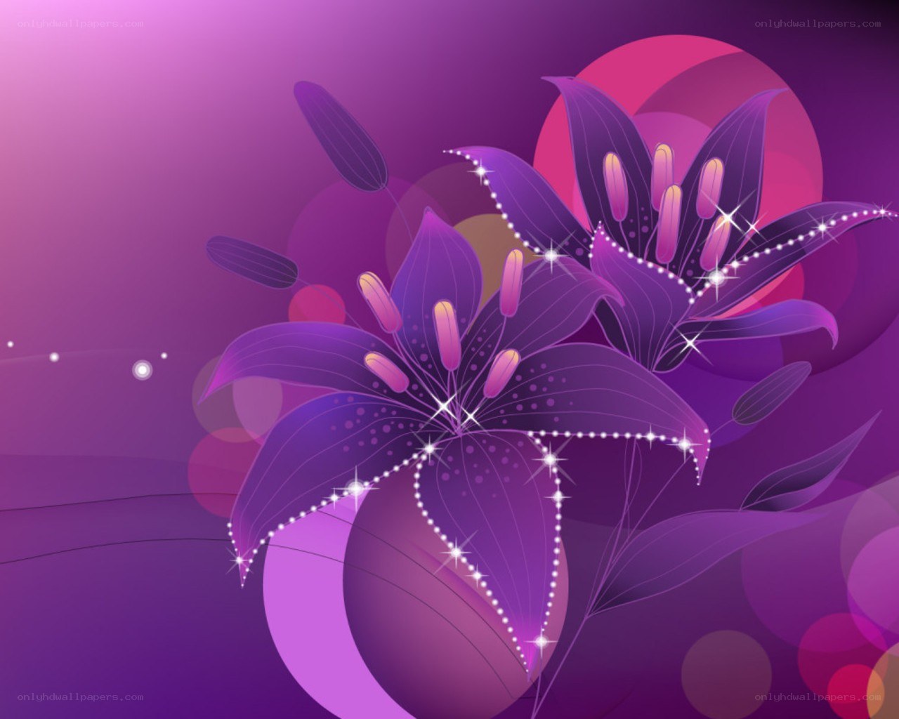 purple lily flower art