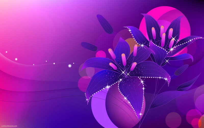 Purple Lily Flower — Dreamy