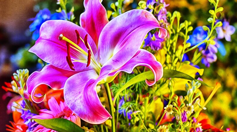 Purple Lily Flower — Vibrant
