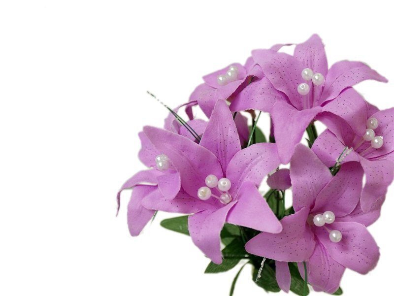 Purple Lily Flowers