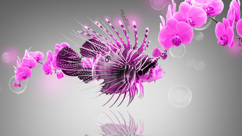 Purple Lionfish with Orchids