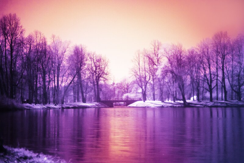 Purple-lit Lake with Trees