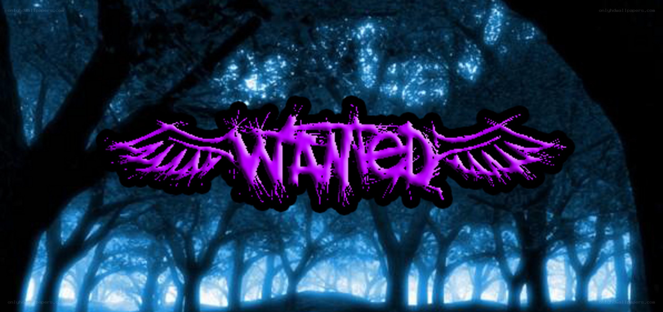 purple logo in a dark forest