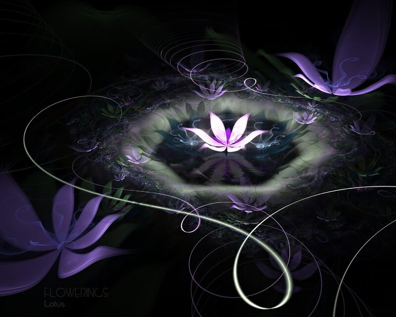 Purple Lotus Flower Art