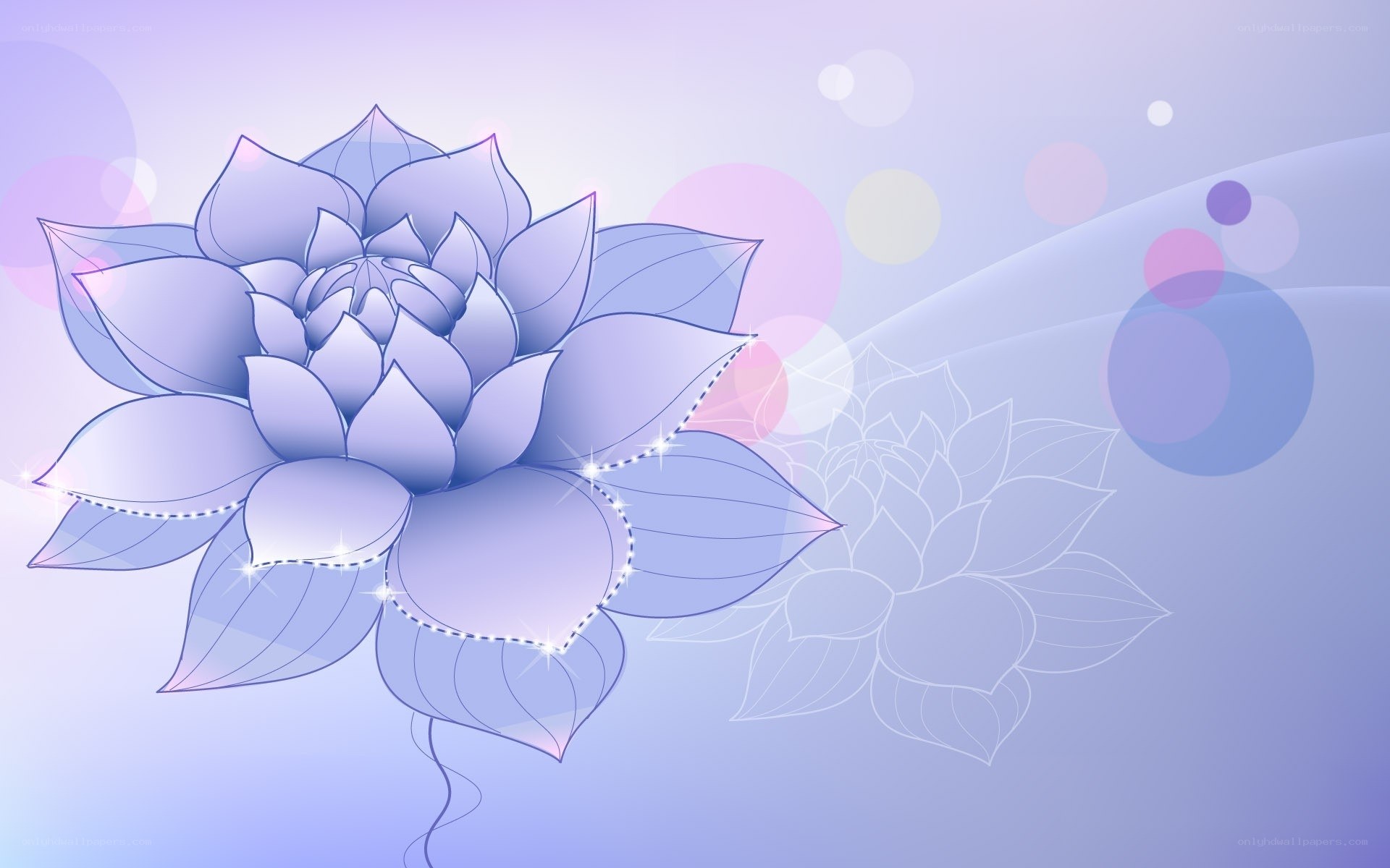 purple lotus flower illustration