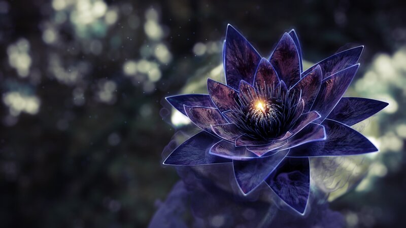 Purple Lotus Flower — Mystical