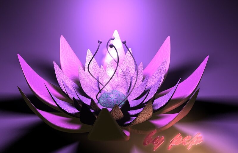 Purple Lotus Flower — Serene, 3d Render