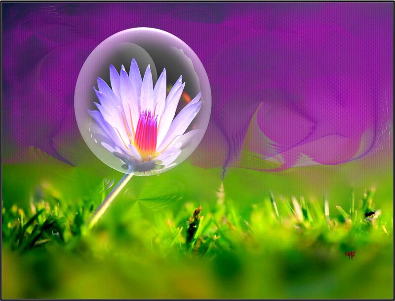 Purple Lotus Flower — Serene, Digital Art, Bubble, Grass