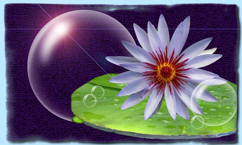 Purple Lotus Flower — Serene, Digital Art, Bubble
