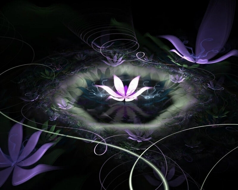 Purple Lotus Flower — Serene, Night, Digital Art, Flowers