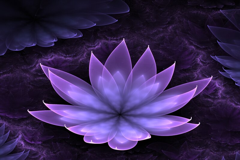 Purple Lotus Flower — Serene, Night, Digital Art