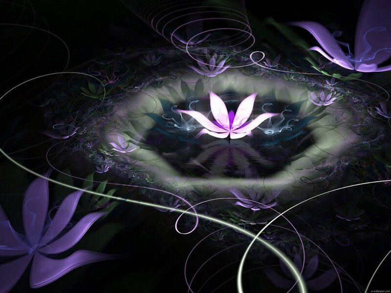 Purple Lotus Flower — Serene, Night