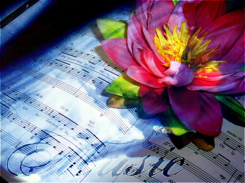 Purple Lotus Flower — Serene, Photograph, Sheet Music