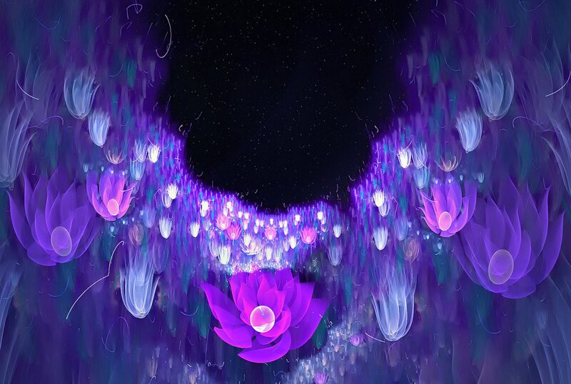 Purple Lotus Flowers — Ethereal, Night