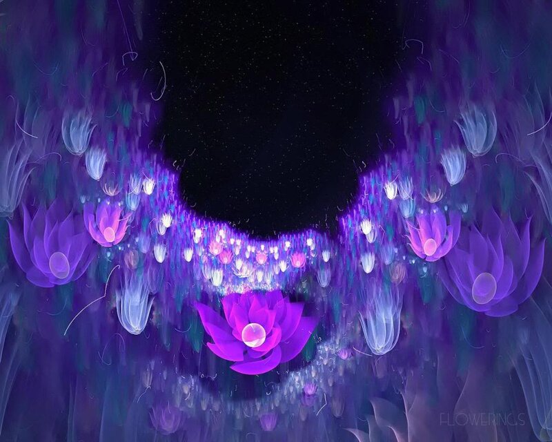 Purple Lotus Flowers — Ethereal