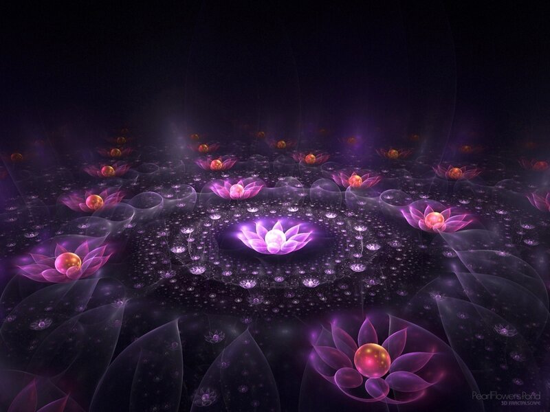 Purple Lotus Flowers — Serene