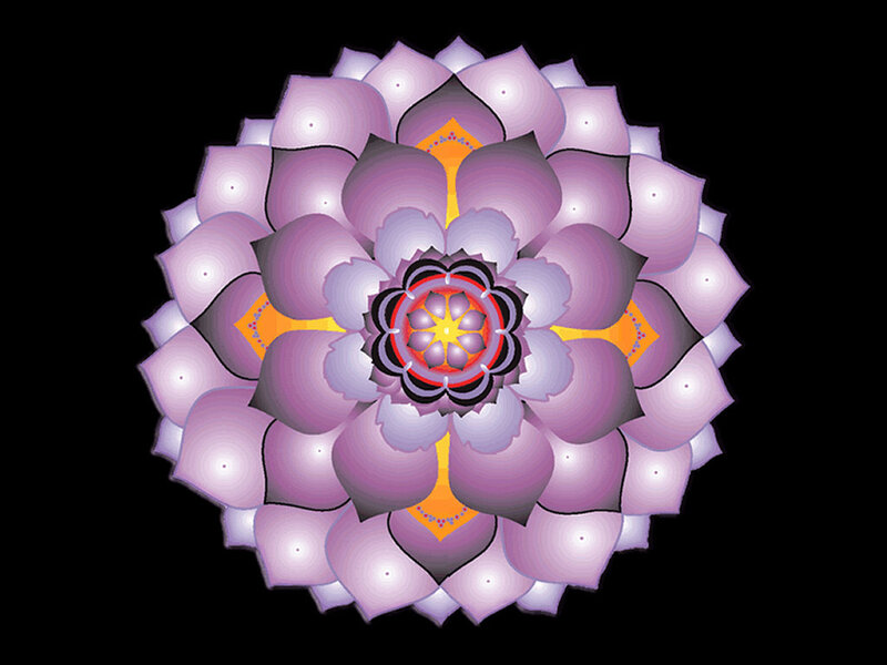 Purple Lotus Mandala