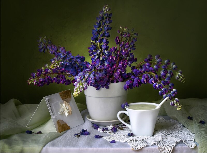 Purple Lupine Flowers — Green, Serene, Photograph