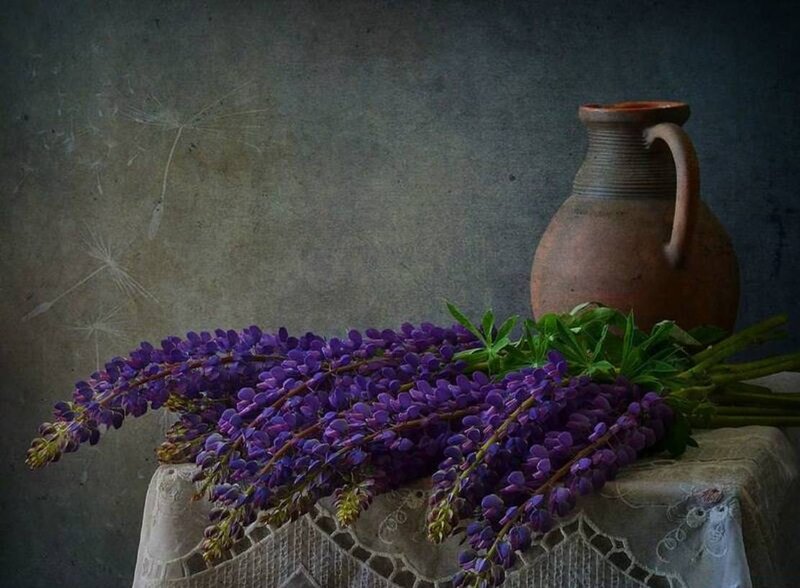 Purple Lupine Flowers — Serene, Photograph, Clay Jug