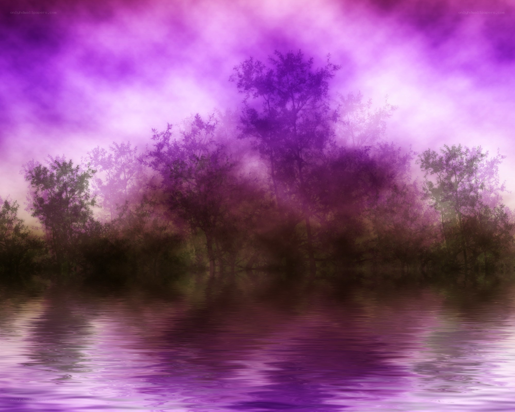 Purple mist over a forest lake
