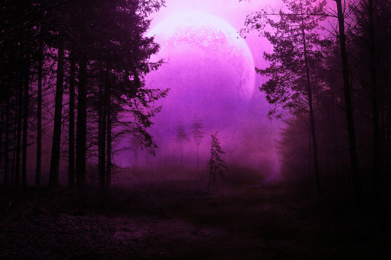 Purple Moon in Forest