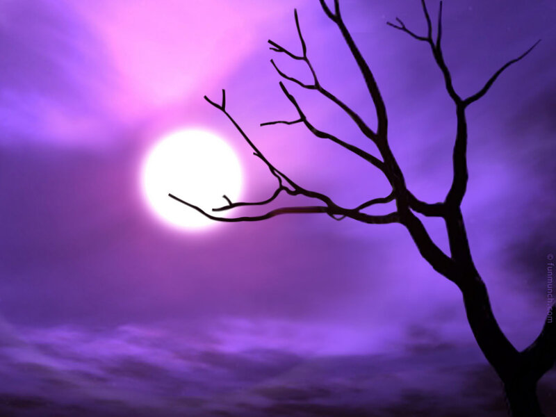 Purple moon over bare tree