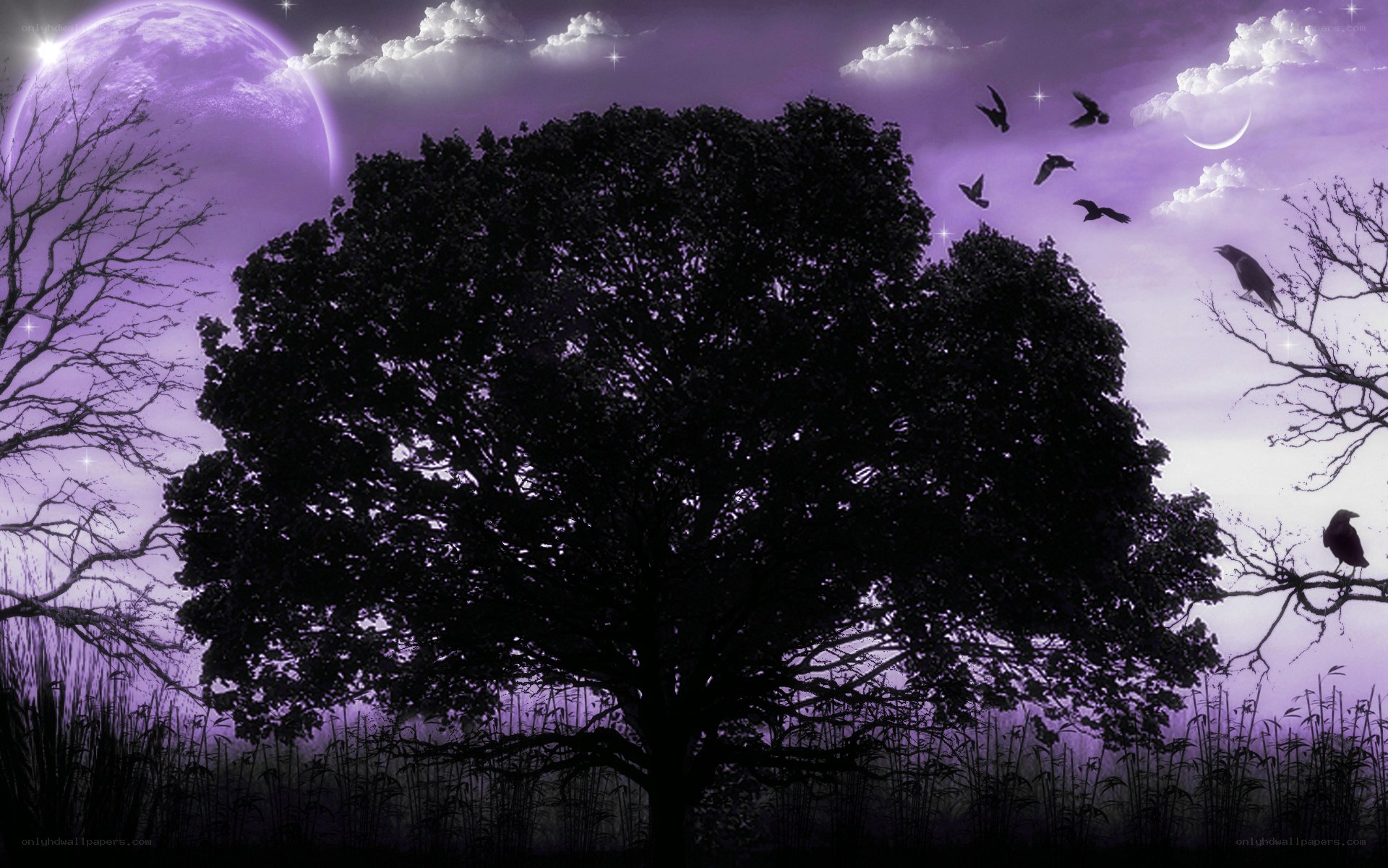 Purple moon over silhouetted tree