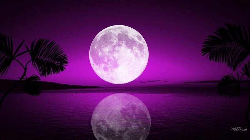 Purple moon over tropical sea
