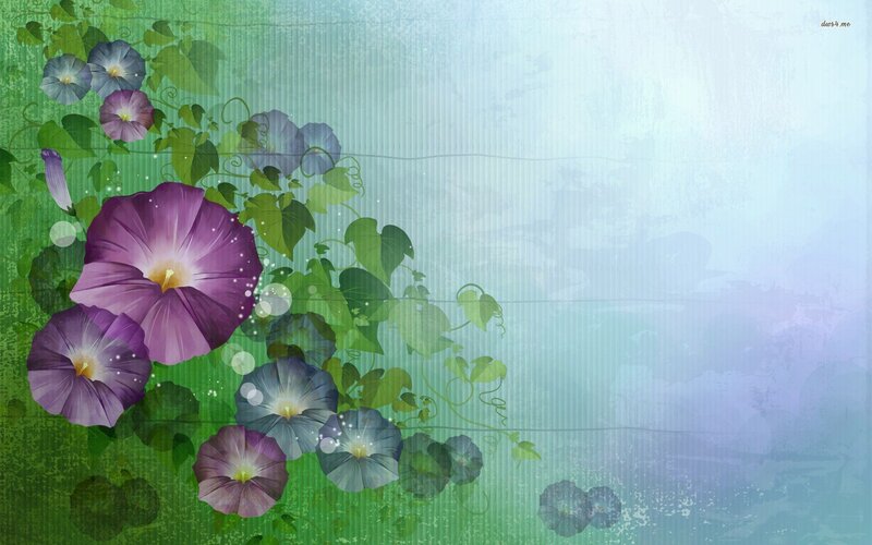 Purple Morning Glory Flowers — Green, Serene